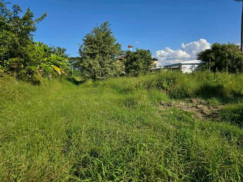 For Sale - ขายที่ดินบ้านเกาะ หลังต้นทองรีสอร์ท 80 ตารางวา, Uttaradit