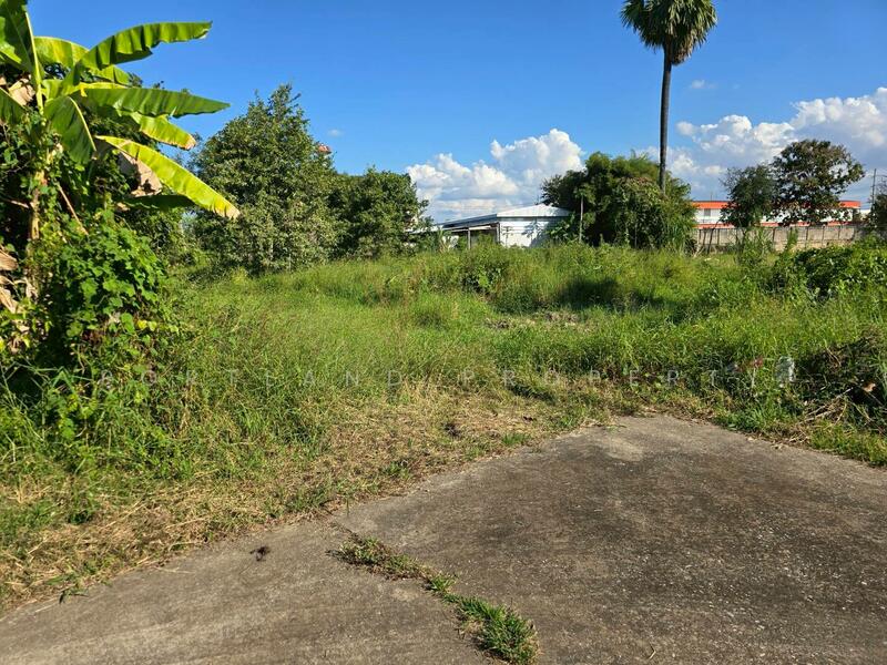 For Sale - ขายที่ดินบ้านเกาะ หลังต้นทองรีสอร์ท 80 ตารางวา, Uttaradit