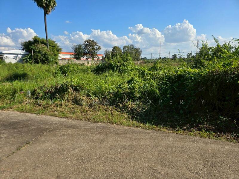 ขาย - ขายที่ดินบ้านเกาะ หลังต้นทองรีสอร์ท 80 ตารางวา, อุตรดิตถ์