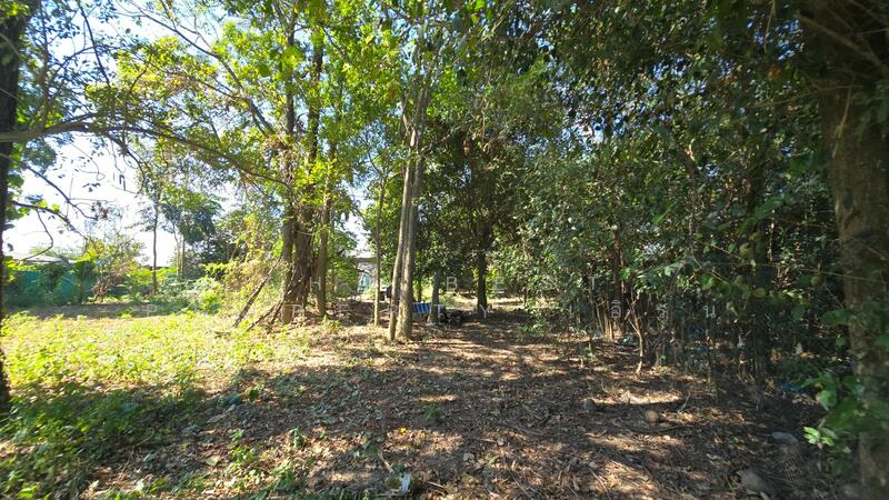 ขาย - บ้านเดี่ยวบ้านยาง นครปฐม, นครปฐม