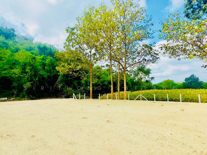 ขาย - ขายที่ดินปากช่อง ใกล้เขาใหญ่ ที่ดินติดภูเขา วิวภูเขาชัดเจน ตำบลขนงพระ ปากช่อง นครราชสีมา, นครราชสีมา