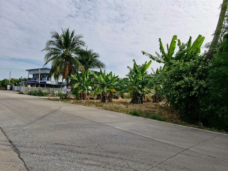 ขาย - ที่ดินเปล่า 200 ตร.ว. ที่ดิน ซอยลาดหลุมแก้ว9, ปทุมธานี