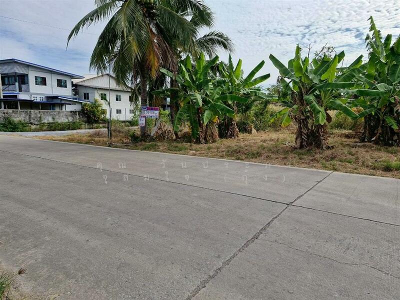 ขาย - ที่ดินเปล่า 200 ตร.ว. ที่ดิน ซอยลาดหลุมแก้ว9, ปทุมธานี