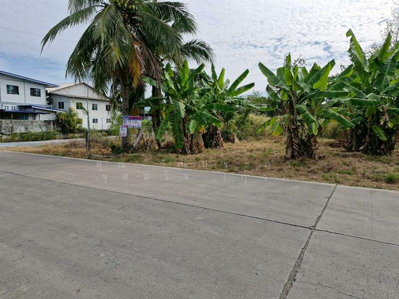 ขาย - ที่ดินเปล่า 200 ตร.ว. ที่ดิน ซอยลาดหลุมแก้ว9, ปทุมธานี