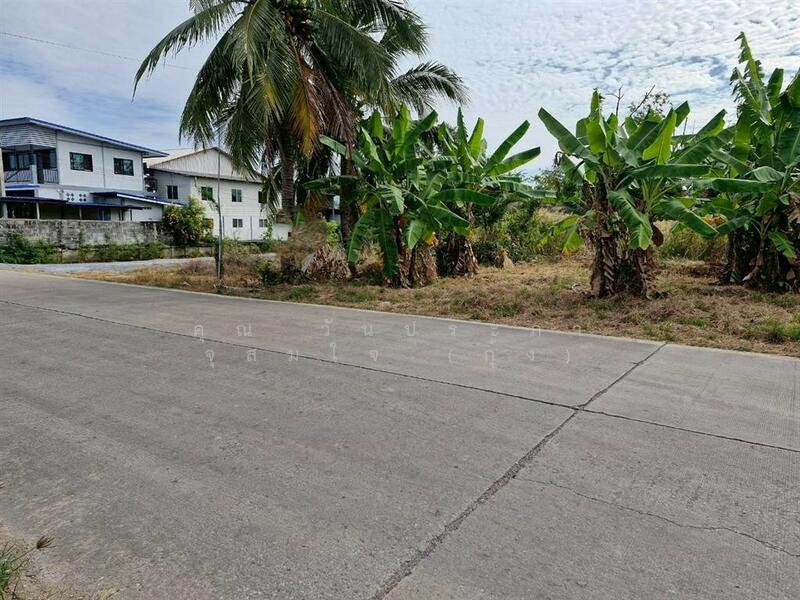 ขาย - ที่ดินเปล่า 200 ตร.ว. ที่ดิน ซอยลาดหลุมแก้ว9, ปทุมธานี