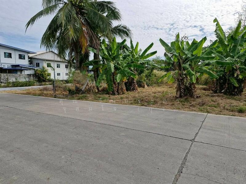 ขาย - ที่ดินเปล่า 200 ตร.ว. ที่ดิน ซอยลาดหลุมแก้ว9, ปทุมธานี