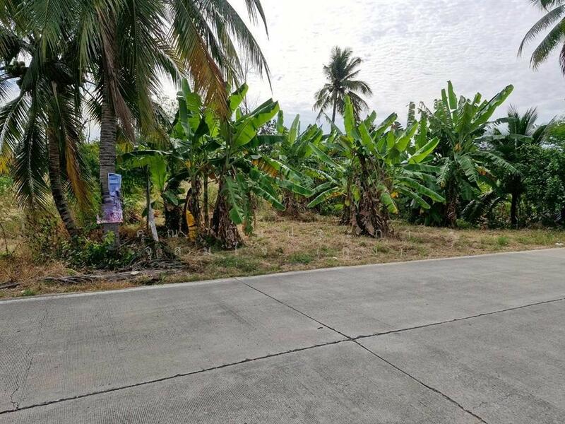 ขาย - ที่ดินเปล่า 200 ตร.ว. ที่ดิน ซอยลาดหลุมแก้ว9, ปทุมธานี