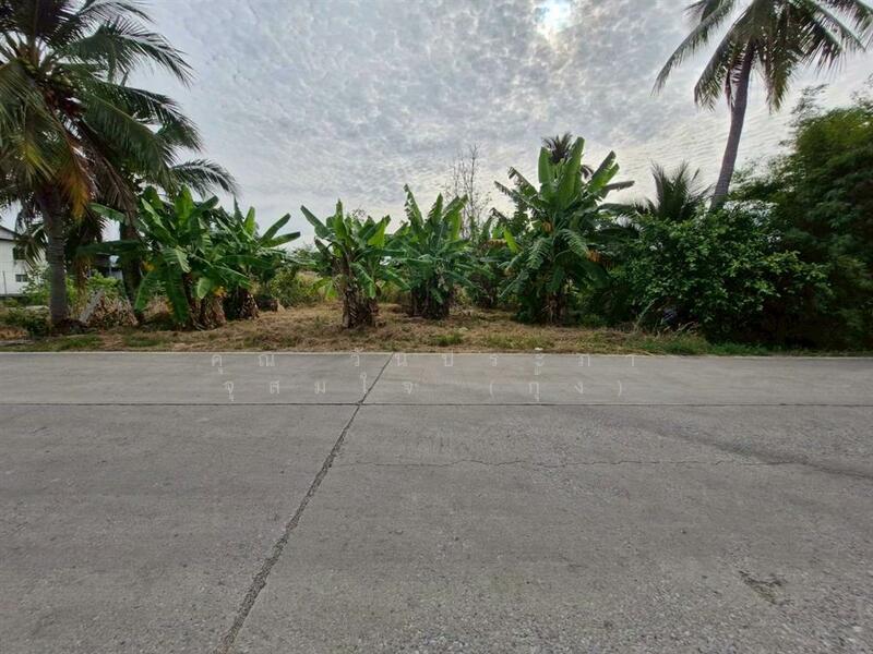 ขาย - ที่ดินเปล่า 200 ตร.ว. ที่ดิน ซอยลาดหลุมแก้ว9, ปทุมธานี