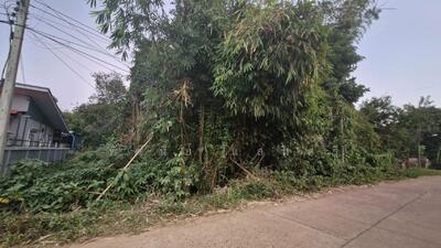 ขาย - ขายด่วนที่ดินเปล่า สามารถแบ่งจัดสรรเป็นบ้านที่อยู่อาศัยได้ เมืองนครพนม จ.นครพนม, นครพนม