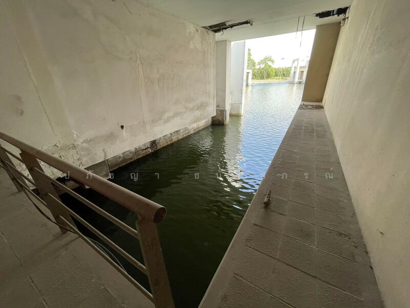 ขาย - บางปะกง, ฉะเชิงเทรา