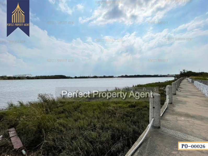 บางปะกง, Chachoengsao, Bang Pakong, Chachoengsao, , 230,120 sqm, Shophouse For Sale, by ปภัชญา ธนัตถ์ภรณ์, 500069024 - DDproperty.com