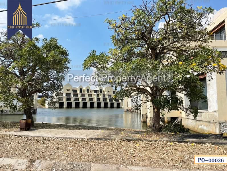 บางปะกง, Chachoengsao, Bang Pakong, Chachoengsao, , 230,120 sqm, Shophouse For Sale, by ปภัชญา ธนัตถ์ภรณ์, 500069024 - DDproperty.com