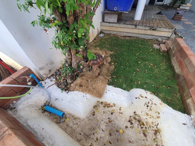 ขาย - บ้านเดี่ยว 2 ชั้น 79.65 ตร.วา ทำเลตลิ่งชัน, ศาลาธรรมสพน์ 3, กรุงเทพ