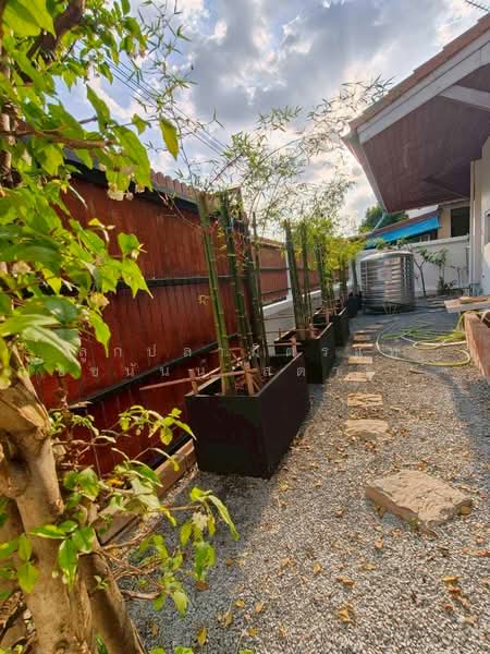 บ้านเดี่ยว 2 ชั้น 79.65 ตร.วา ทำเลตลิ่งชัน, ศาลาธรรมสพน์ 3, กรุงเทพ, ศาลาธรรมสพน์, ทวีวัฒนา, กรุงเทพ, 392 ตร.ม., บ้านเดี่ยว ขาย, โดย ลูกปลามิตรแท้ ณัชชนันน์ สตารุ่ง ( เก๋ ), 500069805 - DDproperty.com