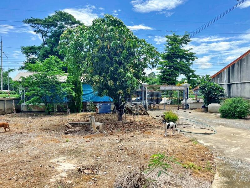 ขาย - บ้านเดี่ยวเดิมบางนางบวช สุพรรณบุรี, สุพรรณบุรี