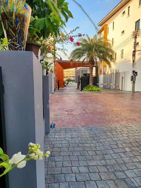 ขาย - The Shelter : เดอะ เชลเตอร์ เพชรเกษม - พุทธมณฑล สาย 5, นครปฐม