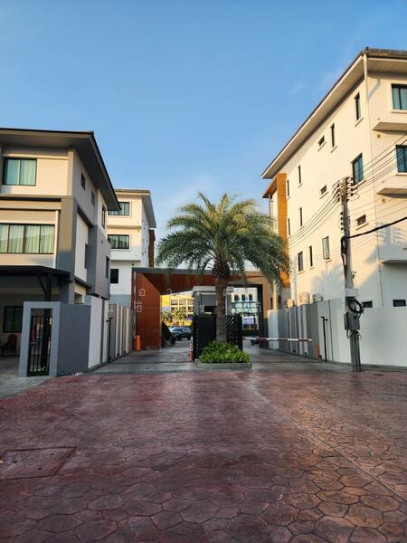 ขาย - The Shelter : เดอะ เชลเตอร์ เพชรเกษม - พุทธมณฑล สาย 5, นครปฐม