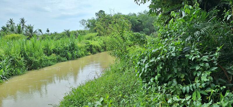 ขาย - ที่ดินท่าศาลา นครศรีธรรมราช, นครศรีธรรมราช