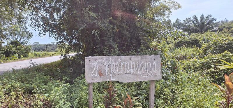 ขาย - ที่ดินท่าศาลา นครศรีธรรมราช, นครศรีธรรมราช