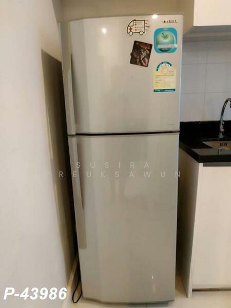 ให้เช่า - The Bloom Sukhumvit 71 : เดอะ บลูม สุขุมวิท 71, กรุงเทพ