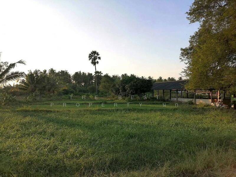 ขาย - ที่ดินท่ายาง เพชรบุรี, เพชรบุรี