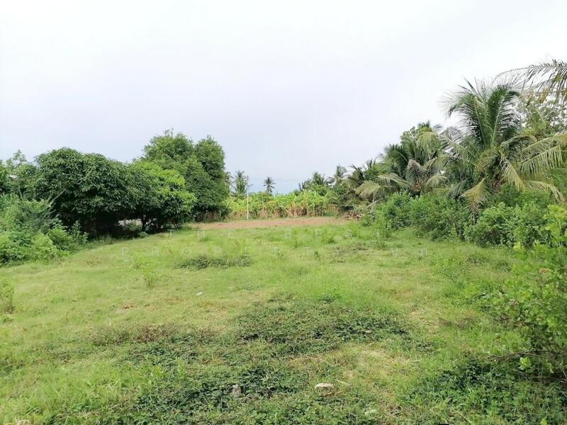 ขาย - ที่ดินท่ายาง เพชรบุรี, เพชรบุรี