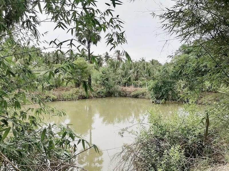 ขาย - ที่ดินท่ายาง เพชรบุรี, เพชรบุรี