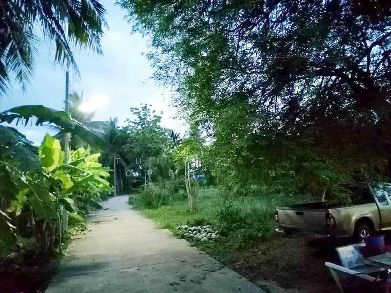 ขาย - ที่ดินท่ายาง เพชรบุรี, เพชรบุรี