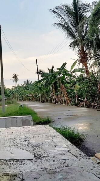 ขาย - ที่ดินท่ายาง เพชรบุรี, เพชรบุรี