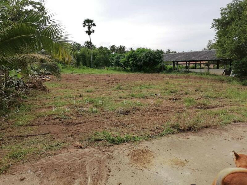 ขาย - ที่ดินท่ายาง เพชรบุรี, เพชรบุรี