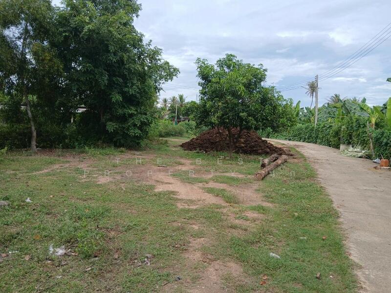 ขาย - ที่ดินท่ายาง เพชรบุรี, เพชรบุรี
