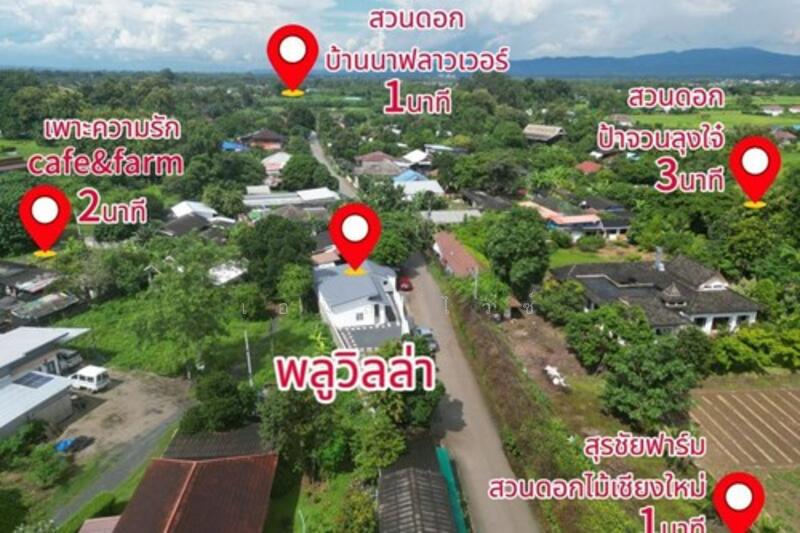 ขาย Mueang Kaeo, เชียงใหม่