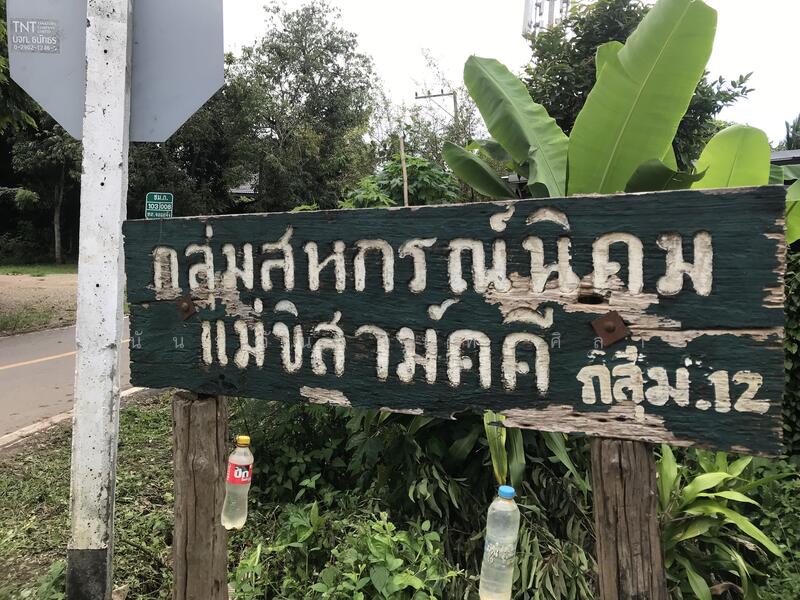 ขายที่ดิน อำเภอแม่แตง,เชียงใหม่ พร้อมสวน ลำใย เนื้อที่ 23-1-33 ไร่ ตำบล ขี้เหล็ก (ซอยอัญชัน17), เชียงใหม่, ขี้เหล็ก, แม่แตง, เชียงใหม่, 37,332 ตร.ม., ที่ดิน ขาย, โดย นันทวัน อินทรศิลา, 500071636 - DDproperty.com