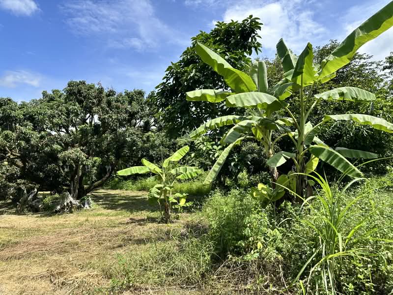 Land, Chiang Mai, Khi Lek, Mae Taeng, Chiang Mai, , 37,332 sqm, Land For Sale, by นันทวัน อินทรศิลา, 500071636 - DDproperty.com