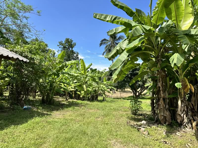 Land, Chiang Mai, Khi Lek, Mae Taeng, Chiang Mai, , 37,332 sqm, Land For Sale, by นันทวัน อินทรศิลา, 500071636 - DDproperty.com