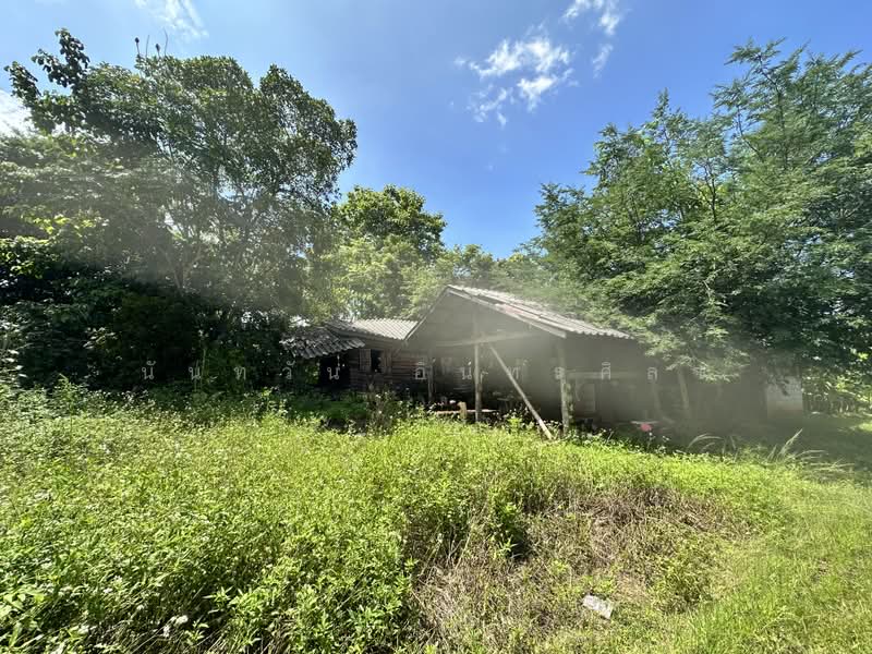 Land, Chiang Mai, Khi Lek, Mae Taeng, Chiang Mai, , 37,332 sqm, Land For Sale, by นันทวัน อินทรศิลา, 500071636 - DDproperty.com