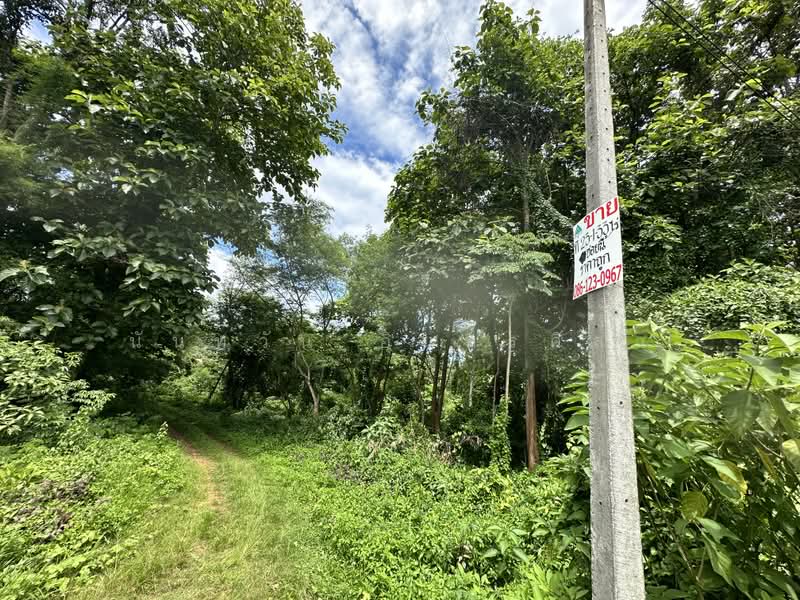 Land, Chiang Mai, Khi Lek, Mae Taeng, Chiang Mai, , 37,332 sqm, Land For Sale, by นันทวัน อินทรศิลา, 500071636 - DDproperty.com