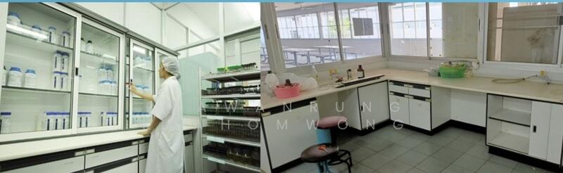 For Rent - สนามจันทร์, Chachoengsao