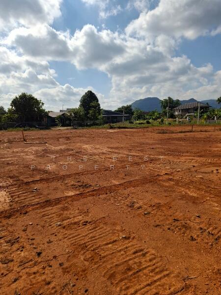 ขาย - ที่ดินดอยฮาง เชียงราย, เชียงราย