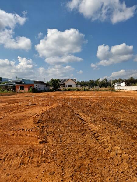 ขาย - ที่ดินดอยฮาง เชียงราย, เชียงราย