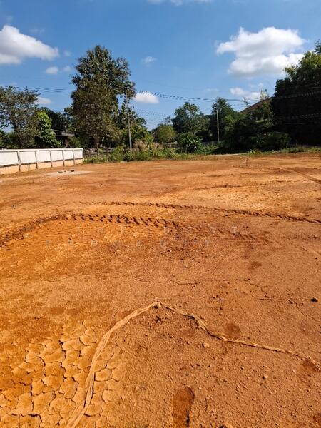 ขาย - ที่ดินดอยฮาง เชียงราย, เชียงราย