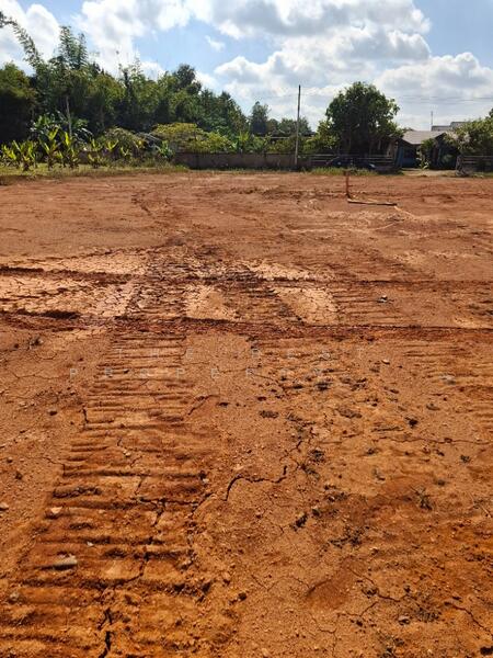 ขาย - ที่ดินดอยฮาง เชียงราย, เชียงราย