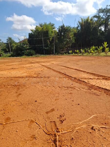 ขาย - ที่ดินดอยฮาง เชียงราย, เชียงราย