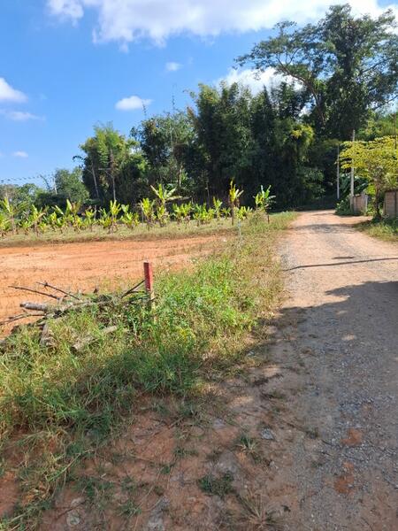 ขาย - ที่ดินดอยฮาง เชียงราย, เชียงราย