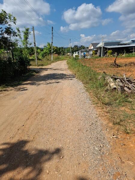 ขาย - ที่ดินดอยฮาง เชียงราย, เชียงราย