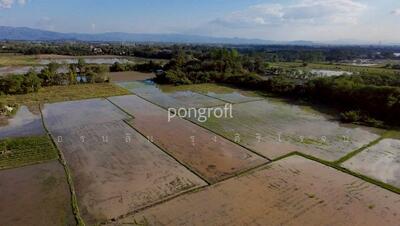 ขาย - ที่ดินเชียงใหม่ตำบลสันกำแพง อำเภอสันกำแพง จังหวัดเชียงใหม่, เชียงใหม่