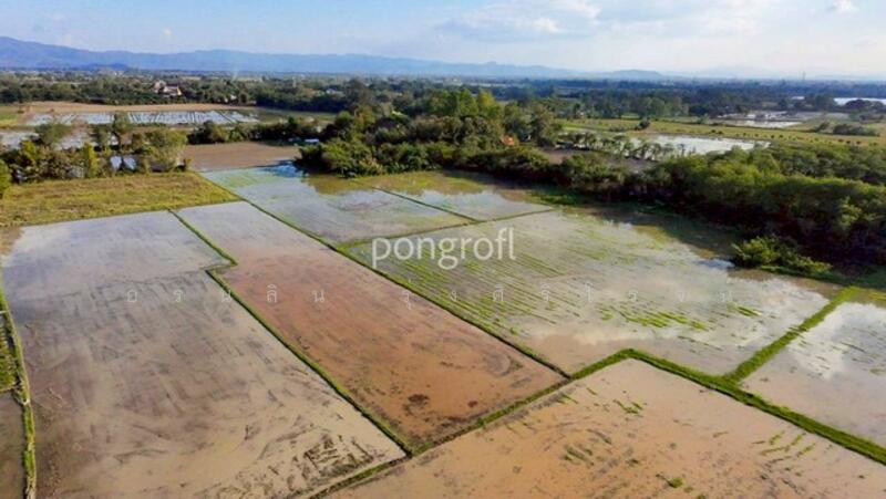 For Sale - ที่ดินเชียงใหม่ตำบลสันกำแพง อำเภอสันกำแพง จังหวัดเชียงใหม่, Chiang Mai