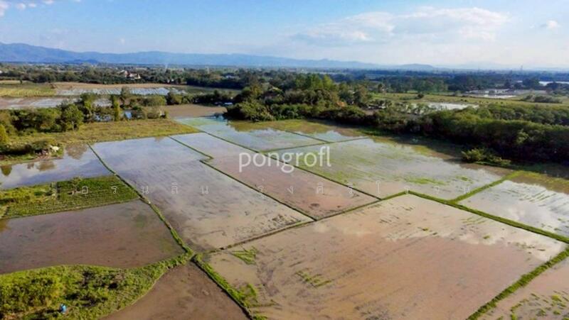 For Sale - ที่ดินเชียงใหม่ตำบลสันกำแพง อำเภอสันกำแพง จังหวัดเชียงใหม่, Chiang Mai