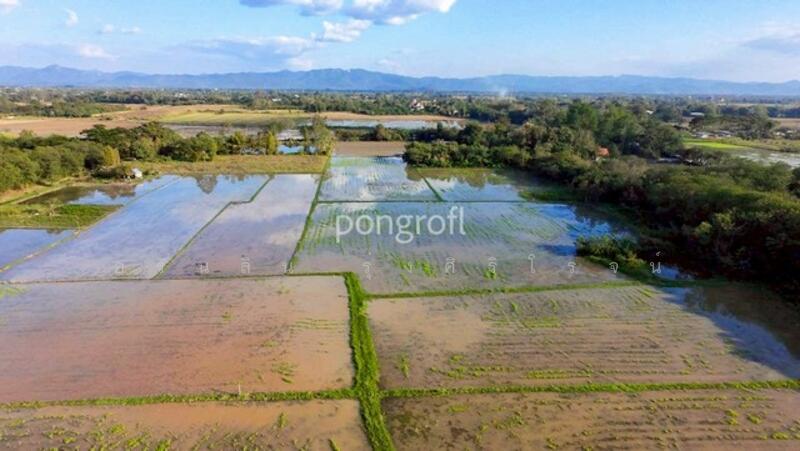 ขาย - ที่ดินเชียงใหม่ตำบลสันกำแพง อำเภอสันกำแพง จังหวัดเชียงใหม่, เชียงใหม่