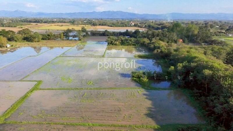 ขาย - ที่ดินเชียงใหม่ตำบลสันกำแพง อำเภอสันกำแพง จังหวัดเชียงใหม่, เชียงใหม่